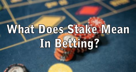 stake me meaning in gambling|Stake .